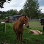 Wrzosowisko Sominki Hébergement de vacances